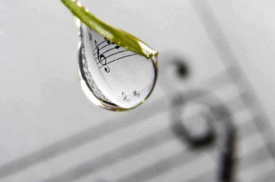 goutte musicale